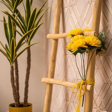 Olympian Muses Apartamento