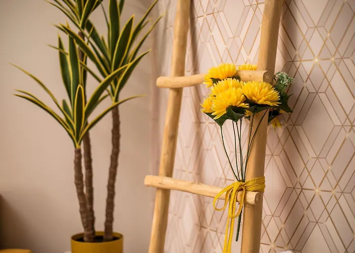 Olympian Muses Apartamento